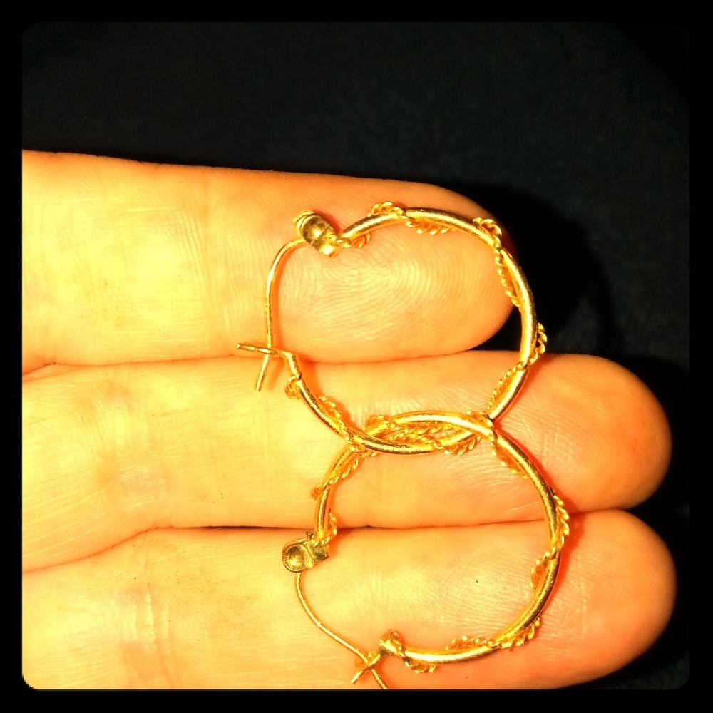 Pretty little Golden Hoop Earrings